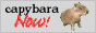 capybara now button