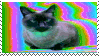 cat in a psychedelic background stamp
